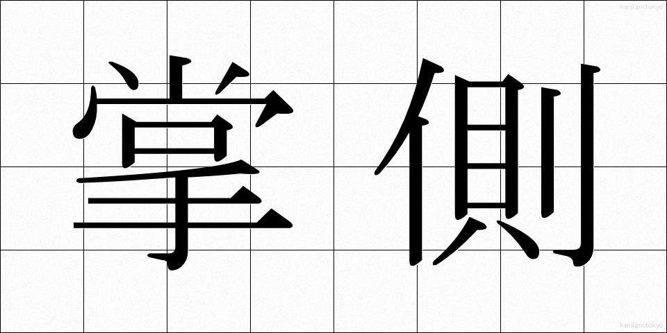 掌側 (しょうそく)