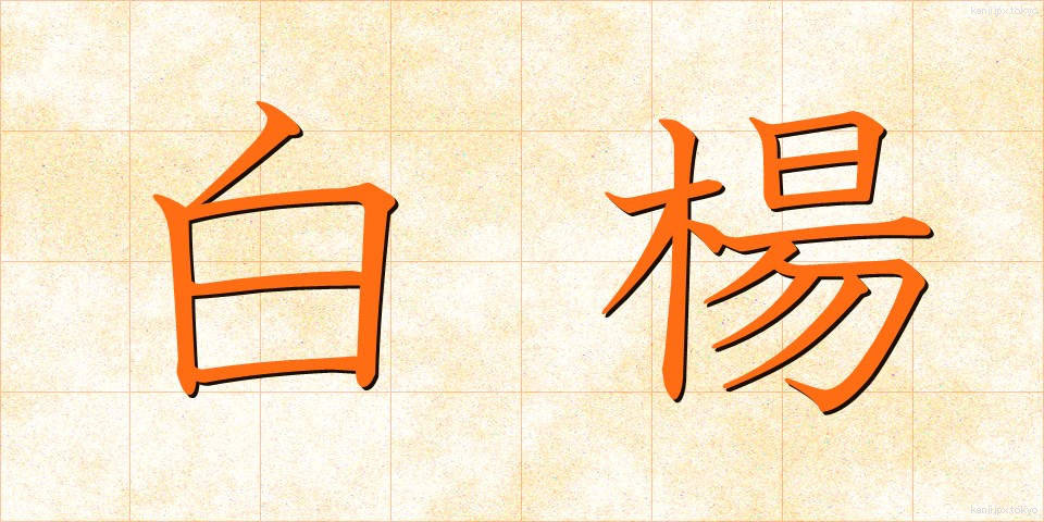 白楊 (はくよう)