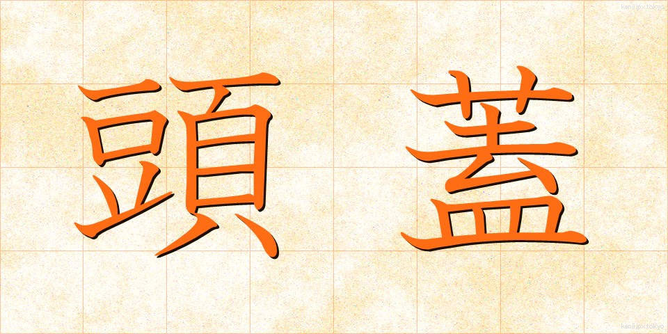 頭蓋 (とうがい)