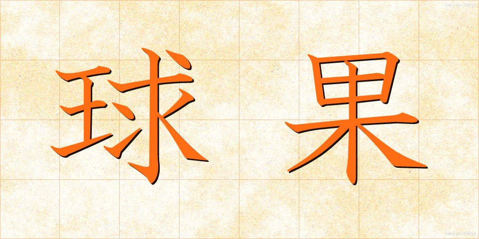 球果 (きゅうか)