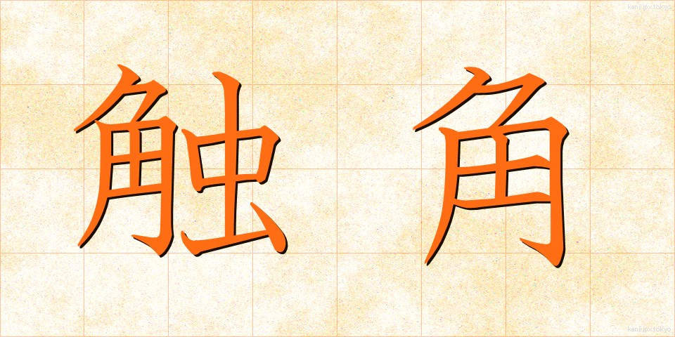 触角 (しょっかく)