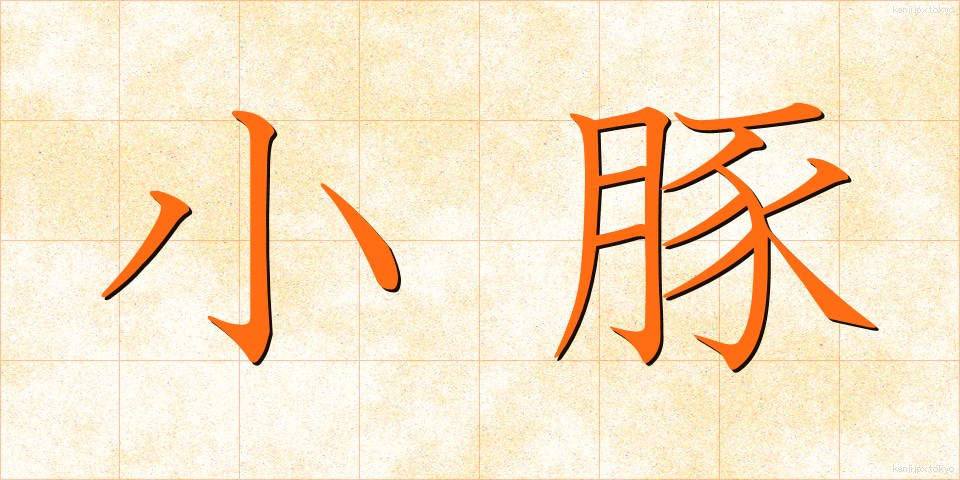 小豚 (しょうとん)