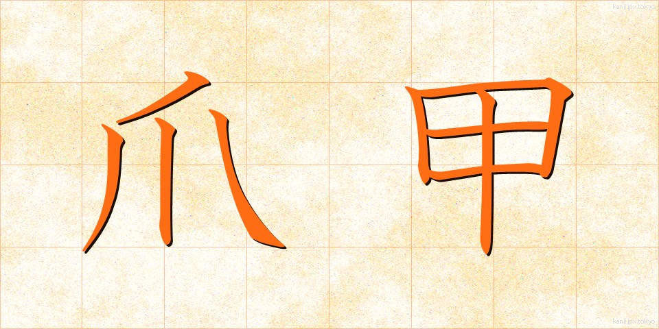 爪甲 (そうこう)