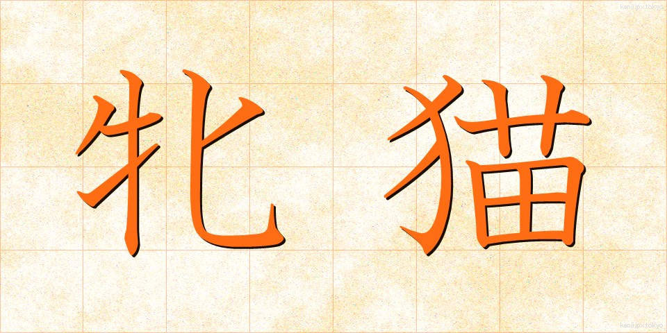 牝猫 (めねこ)
