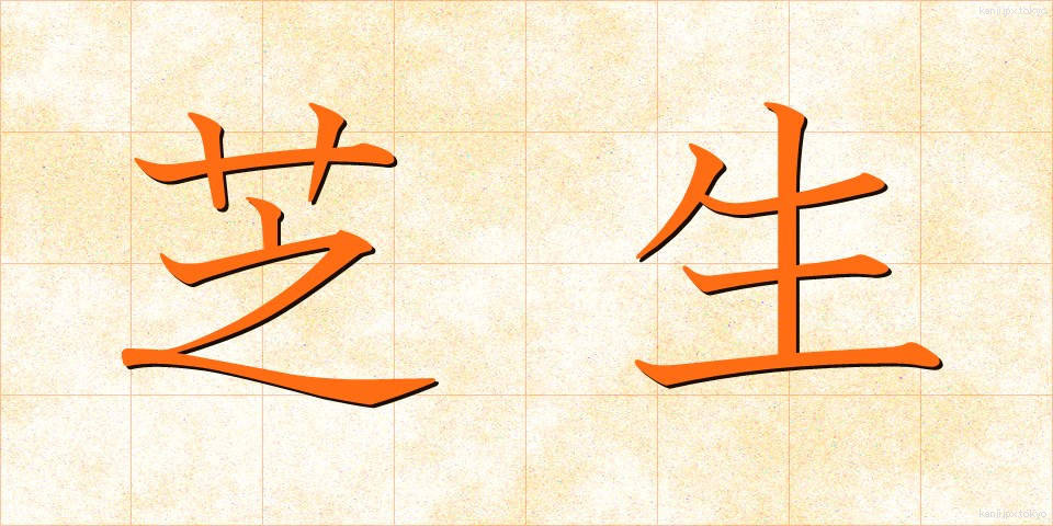 芝生 (しばふ)