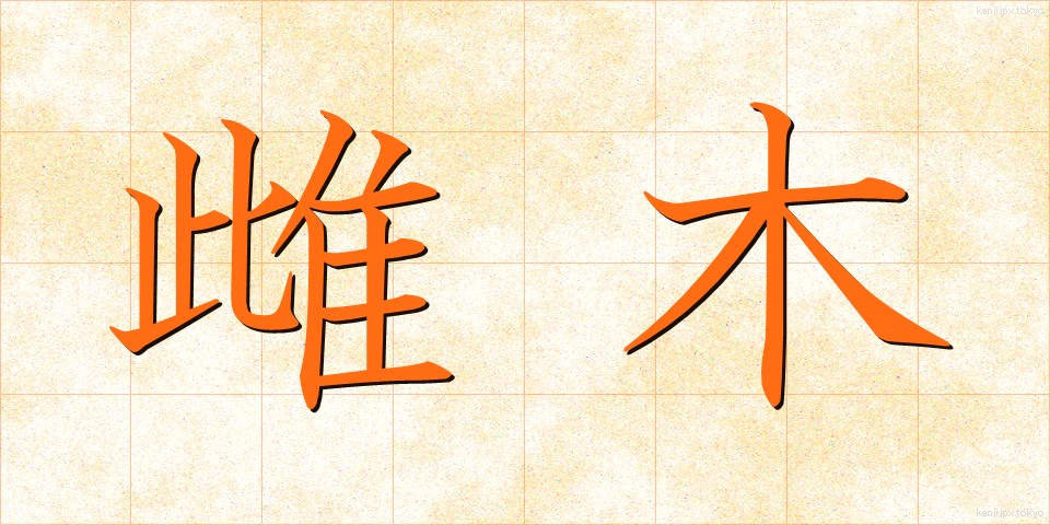 雌木 (めぎ)