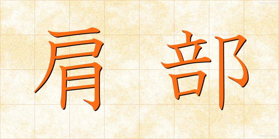 肩部 (けんぶ)