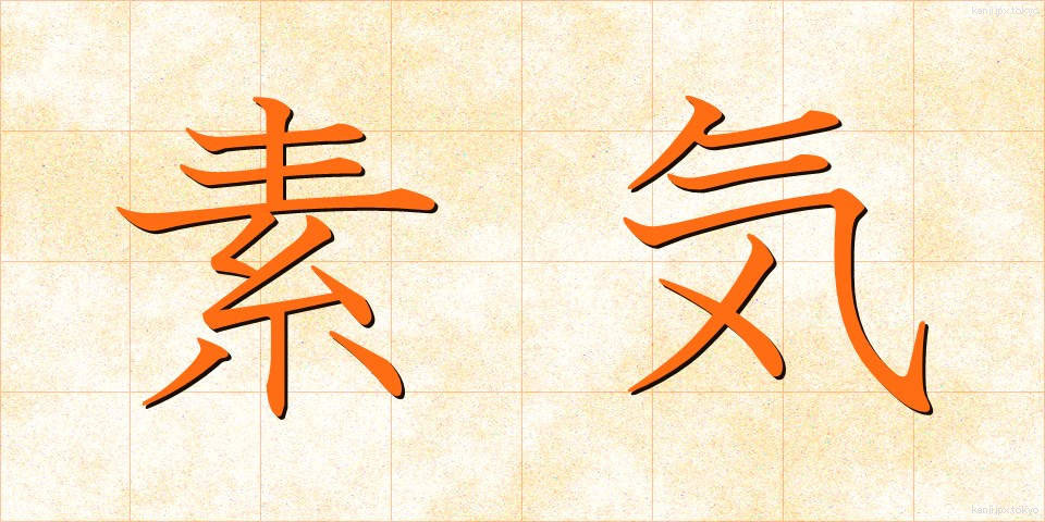 素気 (そっけ)