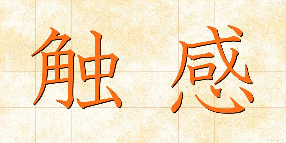 触感 (しょっかん)