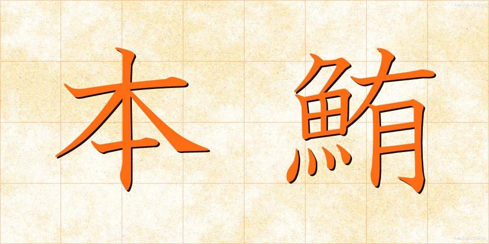 本鮪 (ほんまぐろ)