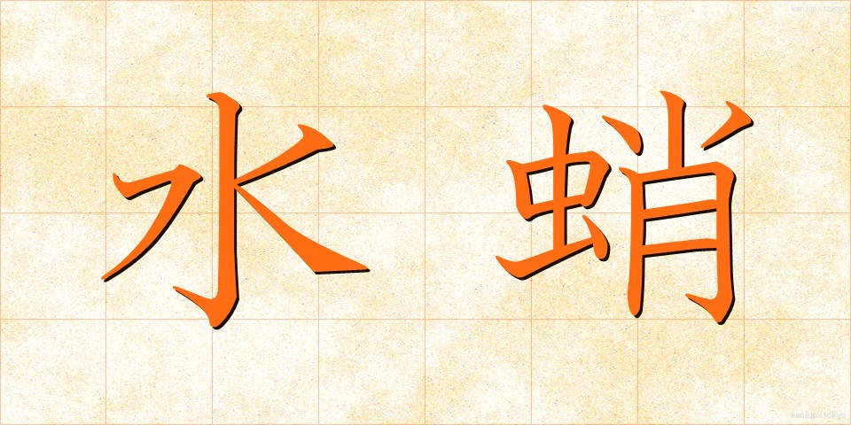 水蛸 (みずたこ)