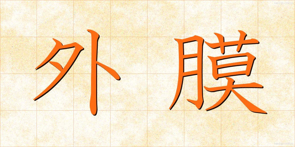 外膜 (がいまく)