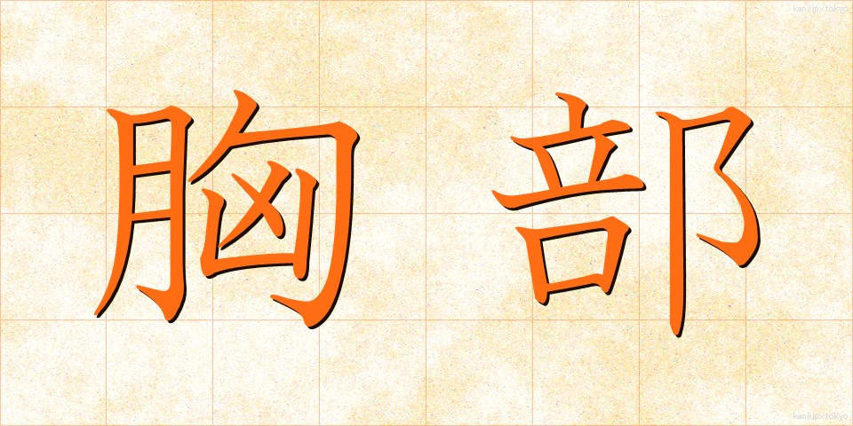 胸部 (きょうぶ)