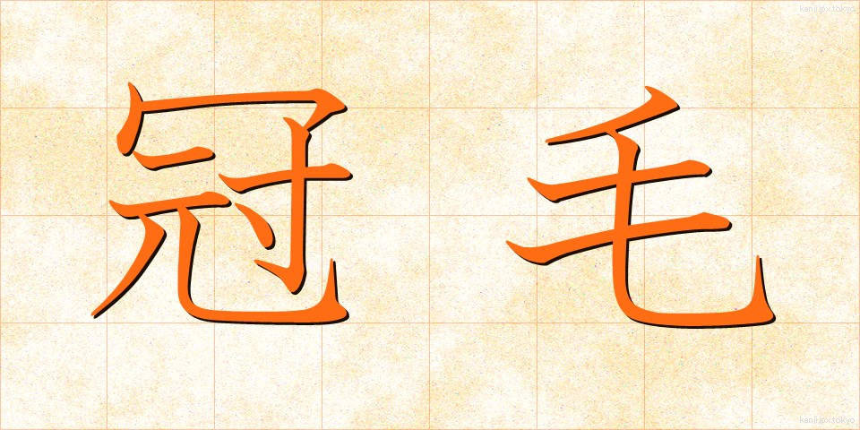 冠毛 (かんもう)