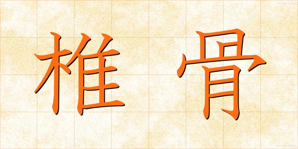 椎骨 (しいこつ)