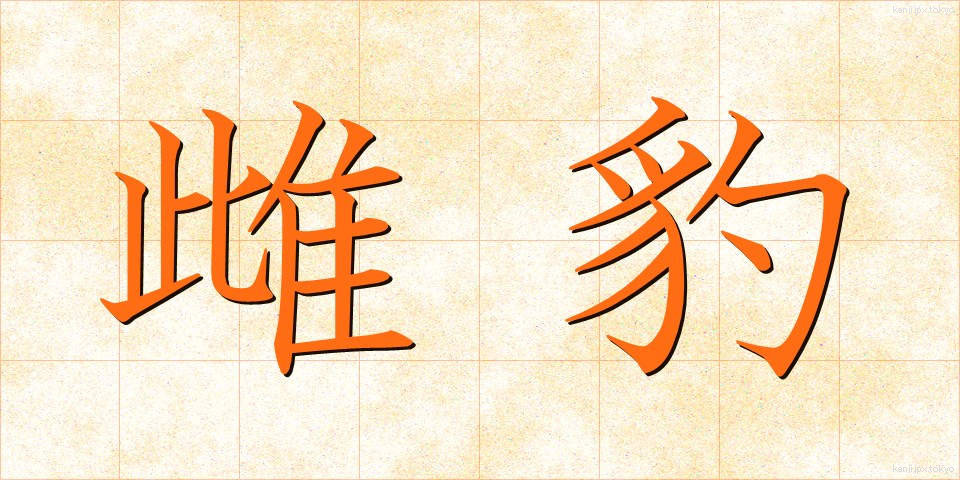 雌豹 (めひょう)