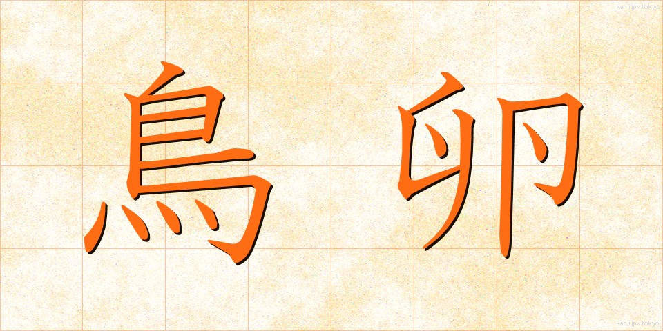 鳥卵 (ちょうらん)