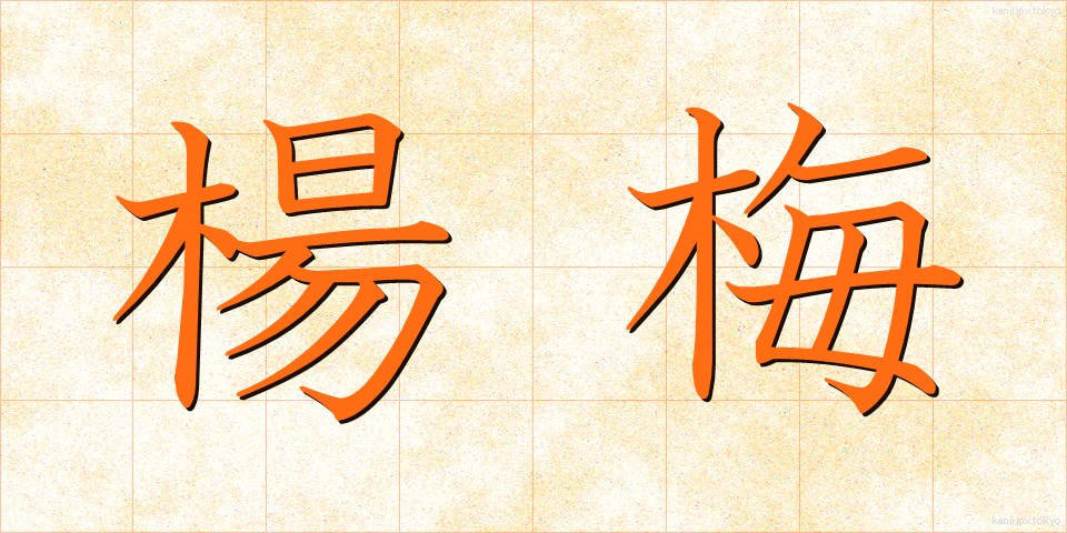 楊梅 (やまもも)