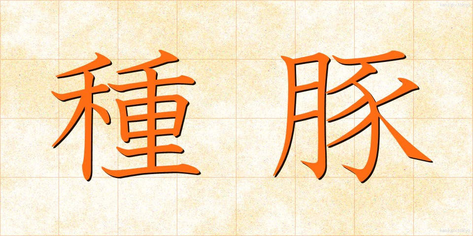 種豚 (たねぶた)