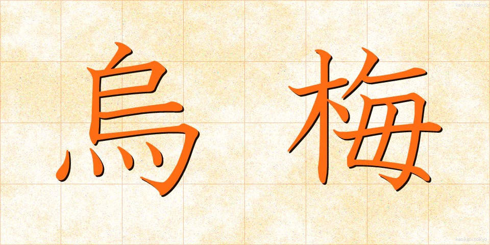 烏梅 (うばい)