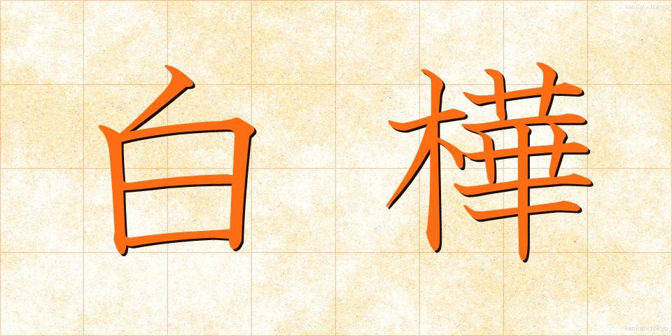 白樺 (しらかば)