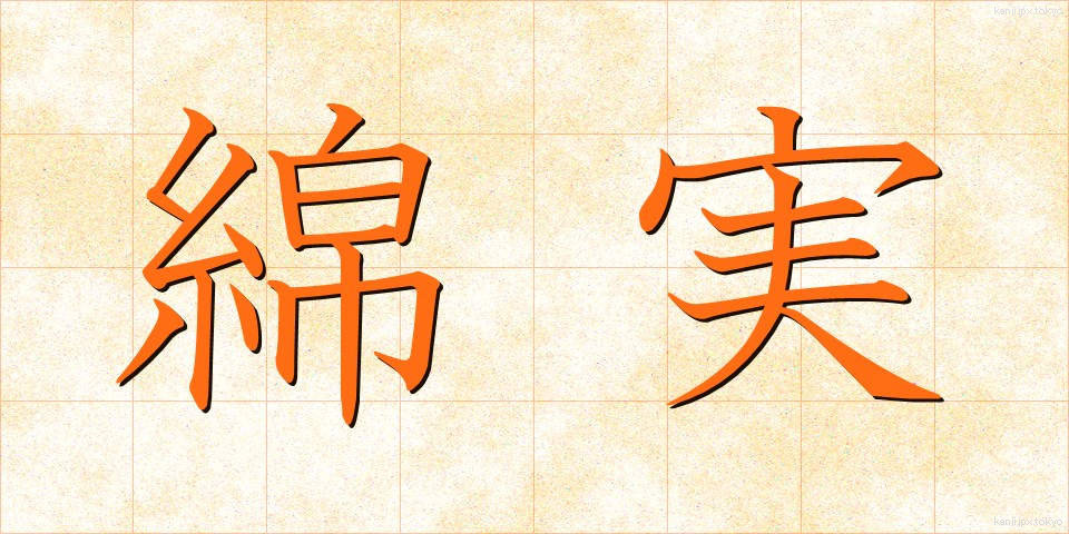 綿実 (めんじつ)