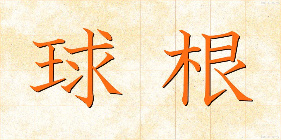 球根 (きゅうこん)