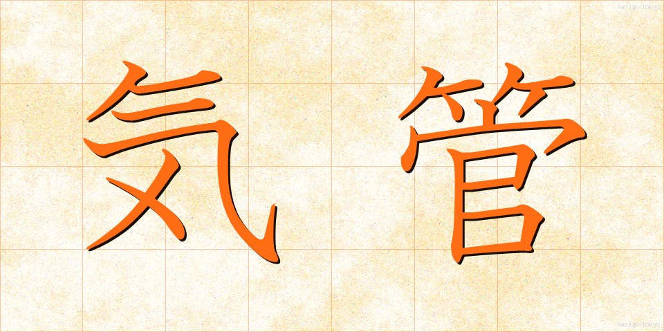 気管 (きかん)