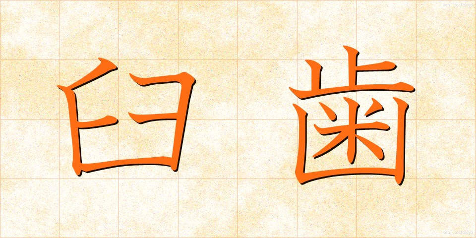 臼歯 (きゅうし)