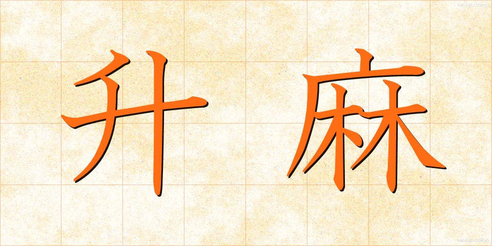 升麻 (しょうま)