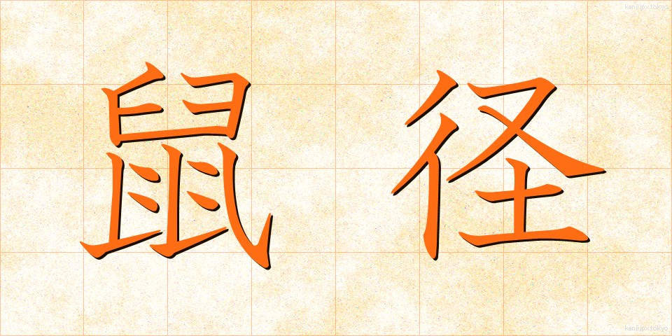 鼠径 (そけい)