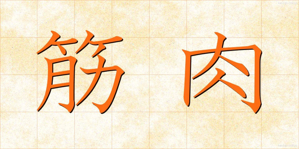 筋肉 (きんにく)