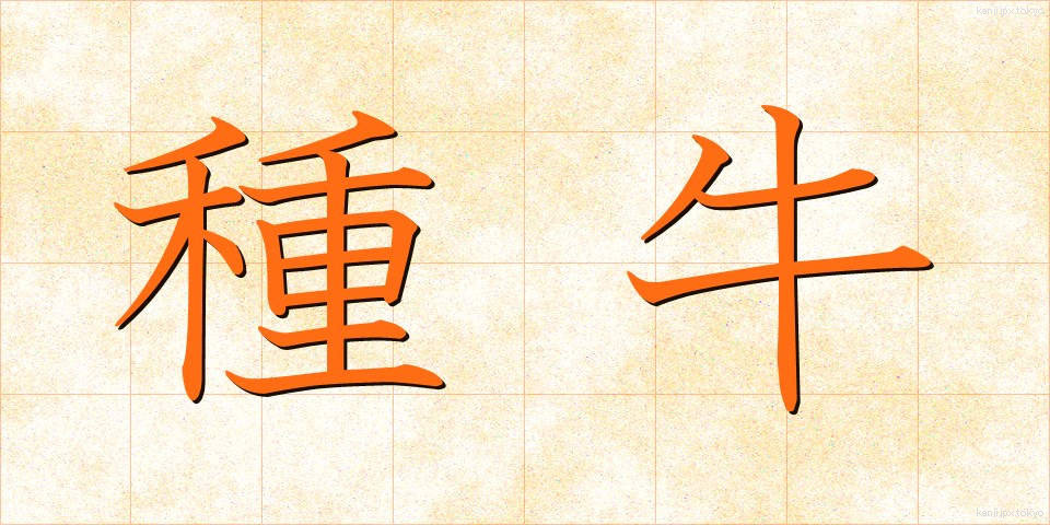 種牛 (たねうし)