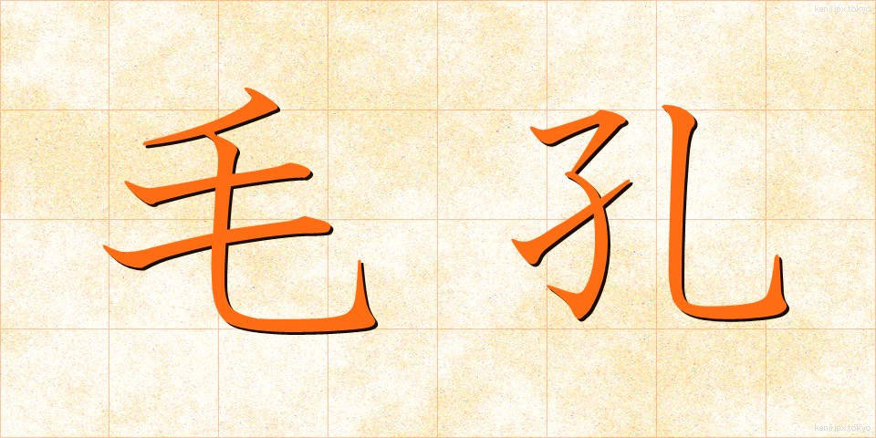 毛孔 (けこう)