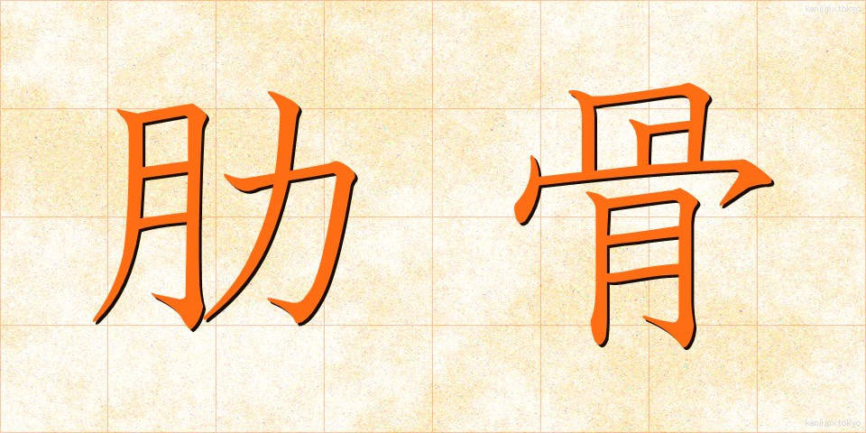 肋骨 (ろっこつ)