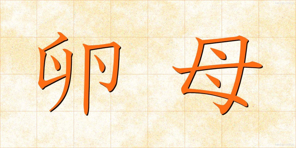 卵母 (らんぼ)