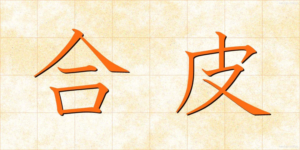 合皮 (ごうひ)