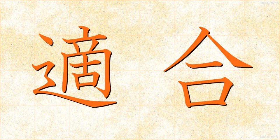 適合 (てきごう)