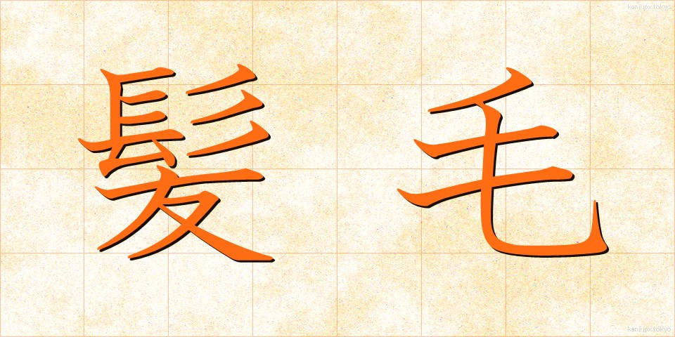 髪毛 (かみけ)
