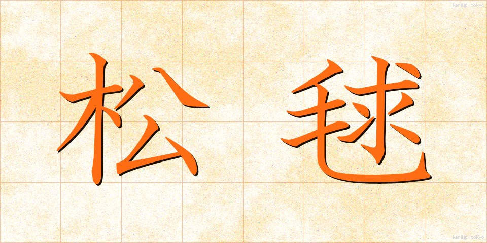 松毬 (まつぼっくり)