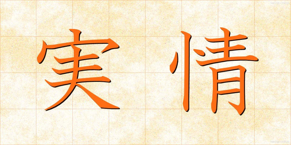実情 (じつじょう)