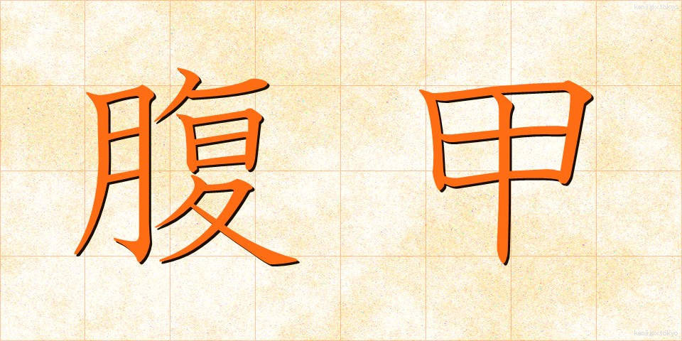 腹甲 (ふくこう)