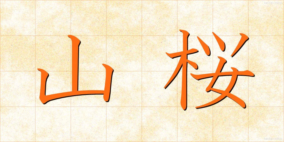 山桜 (やまざくら)