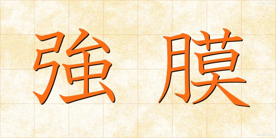 強膜 (きょうまく)