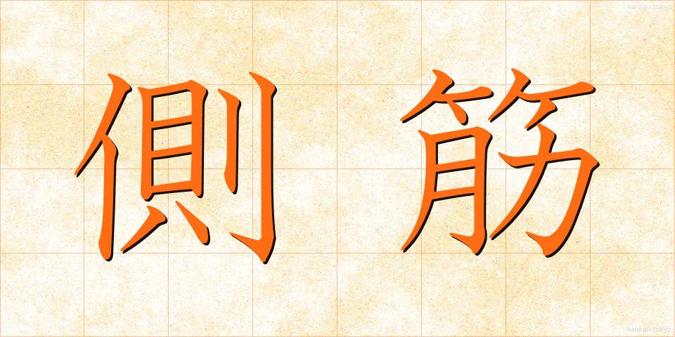 側筋 (そくきん)