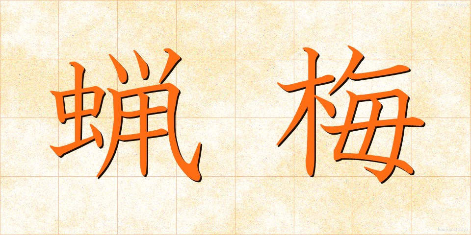蝋梅 (ろうばい)
