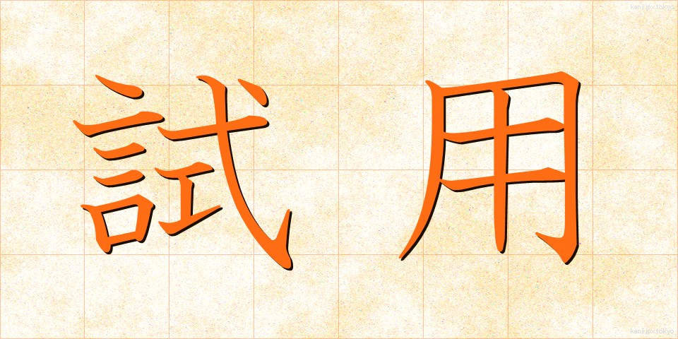 試用 (しよう)