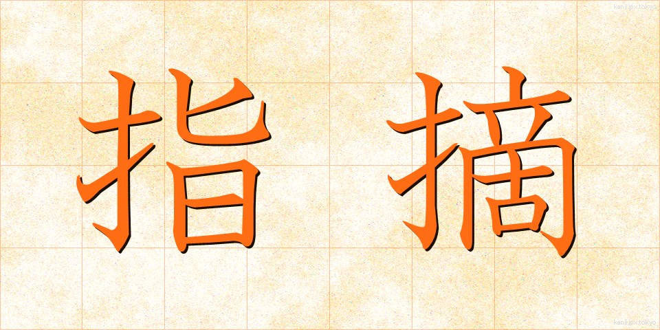 指摘 (してき)