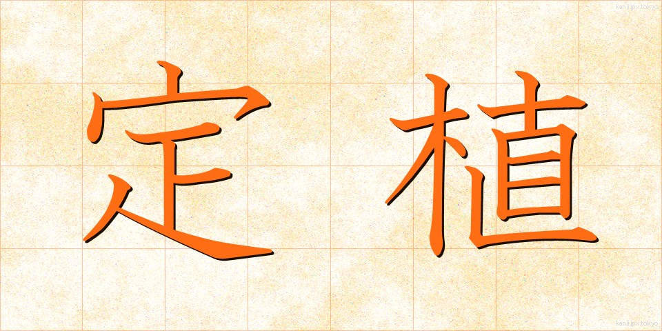定植 (ていしょく)