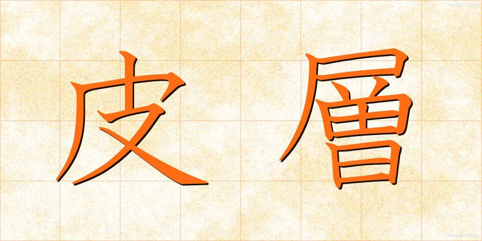 皮層 (ひそう)